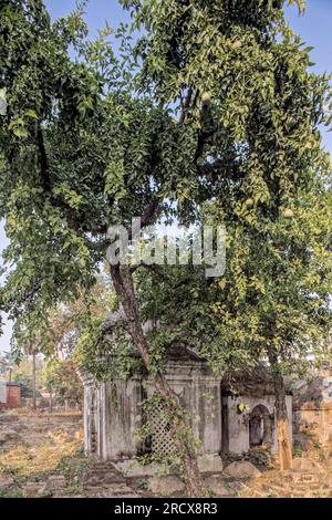 12 25 2014 buddhistischer Mönch, der in der tibetischen Mythologie im Mahabodhi-Komplex Bodh Gaya Bihar India.Asi Rituale macht Stockfoto