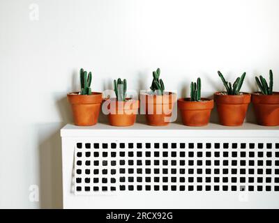 Mini-Kakteen in Terrakotta-Töpfen auf einem weißen Heizkörper vor einer weißen Wand Stockfoto