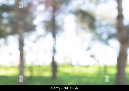 Verwischen Sie das Bokeh des Naturgartens und Parks für Hintergrund und Inspiration Stockfoto