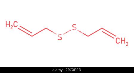 Chemische Struktur des Diallyldisulfids (C6H10S2). Chemische Ressourcen für Lehrer und Schüler. Vektordarstellung isoliert auf weißem Hintergrund. Stock Vektor