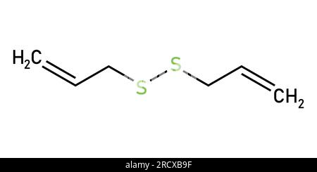 Chemische Struktur des Diallyldisulfids (C6H10S2). Chemische Ressourcen für Lehrer und Schüler. Vektordarstellung isoliert auf weißem Hintergrund. Stock Vektor