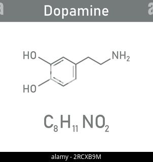 Die chemische Struktur des Dopamins (C8H11NO2) Chemische Ressourcen für Lehrer und Schüler. Vektordarstellung isoliert auf weißem Hintergrund. Stock Vektor