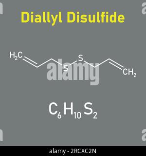 Chemische Struktur des Diallyldisulfids (C6H10S2). Chemische Ressourcen für Lehrer und Schüler. Vektordarstellung isoliert auf weißem Hintergrund. Stock Vektor