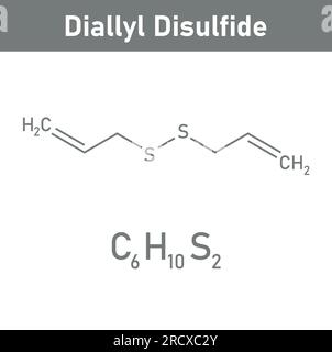 Chemische Struktur des Diallyldisulfids (C6H10S2). Chemische Ressourcen für Lehrer und Schüler. Vektordarstellung isoliert auf weißem Hintergrund. Stock Vektor