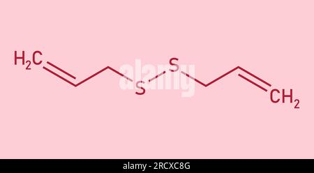 Chemische Struktur des Diallyldisulfids (C6H10S2). Chemische Ressourcen für Lehrer und Schüler. Vektordarstellung isoliert auf weißem Hintergrund. Stock Vektor