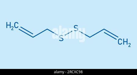 Chemische Struktur des Diallyldisulfids (C6H10S2). Chemische Ressourcen für Lehrer und Schüler. Vektordarstellung isoliert auf weißem Hintergrund. Stock Vektor
