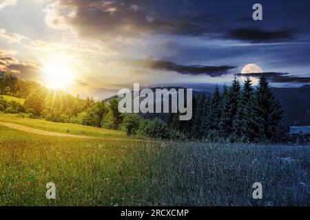 Tag- und Nachtzeit-Änderungskonzept. Große Wiese mit Pinien auf dem Hügel vor einem Berg mit Sonne und Mond in der Dämmerung Stockfoto