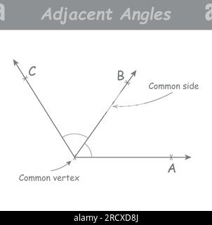 Angrenzende Winkel in der Mathematik. Zwei Winkel mit gemeinsamen Eckpunkten und Seiten. Vektordarstellung isoliert auf weißem Hintergrund. Stock Vektor