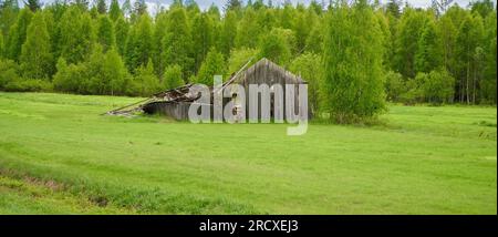Eine verfallene Holzscheune in einer Waldrodung in der Region Lentiirantie auf Finnland FI. Juni 2023 Stockfoto