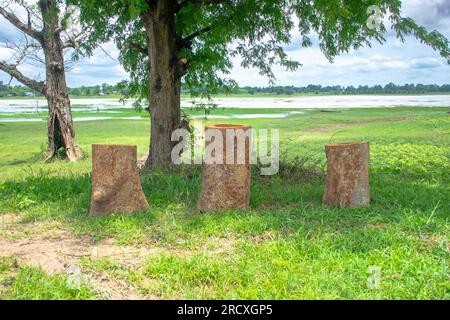Holzpodium mit grünem Naturgarten-Hintergrund. Rundes Holzpodium im tropischen Wald für Produkt Stockfoto
