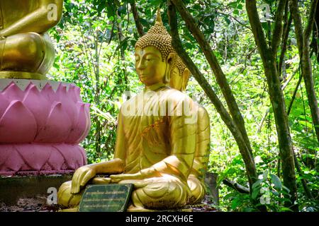 Buddha-Statue im Naturhintergrund, wunderschöne goldfarbene buddha-Statue, Buddha-Statue bei Sonnenuntergang in der Natur Stockfoto