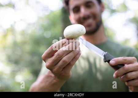 Mann sammelt Pilze im Sommerwald Stockfoto
