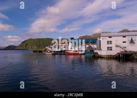 Der nördlichste Hafen von Honningsvåg auf dem norwegischen Festland Europa an einem schönen Juli-Tag mit einer wichtigen Fischereiflotte vor Anker Stockfoto