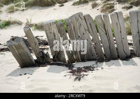 Sonnengebleichte Holzpfostenzäune am Utah Beach, Normandie, Frankreich. Sanddünen im Hintergrund. Stockfoto