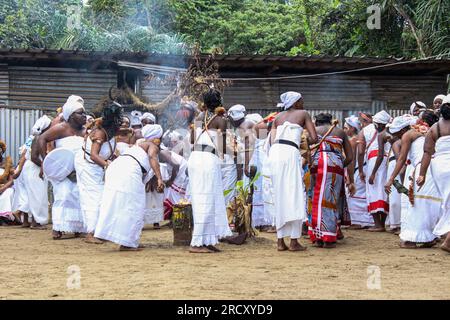 Einleitung zum gabunischen Frauenritus "Ndjembe" im Okala-Bezirk Libreville, 24. August 2014 Stockfoto