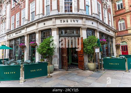 The Ivy York, The Ivy, The Ivy St Helen’s Square in York UK, The Ivy Brasserie, Brasserie, Restaurant, The Ivy Restaurant, York, Esslokale, Esslokale Stockfoto