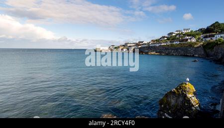 Panoramablick und Landschaftsblick auf das malerische Fischerdorf Cornish und den Hafen von Coverack Stockfoto