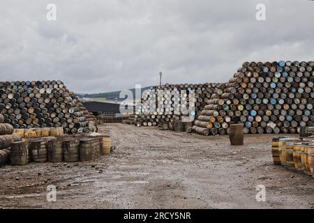 Stacks of Barrels Speyside Cooperage bei Craigellachie Moray Scotland, Juli 2023 Stockfoto