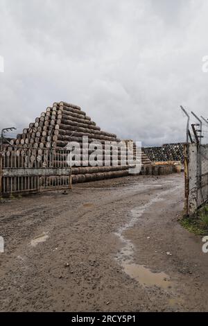 Stacks of Barrels Speyside Cooperage bei Craigellachie Moray Scotland, Juli 2023 Stockfoto