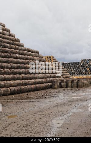 Stacks of Barrels Speyside Cooperage bei Craigellachie Moray Scotland, Juli 2023 Stockfoto