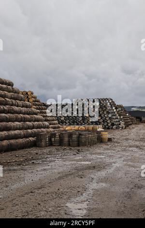 Stacks of Barrels Speyside Cooperage bei Craigellachie Moray Scotland, Juli 2023 Stockfoto