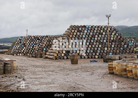 Stacks of Barrels Speyside Cooperage bei Craigellachie Moray Scotland, Juli 2023 Stockfoto