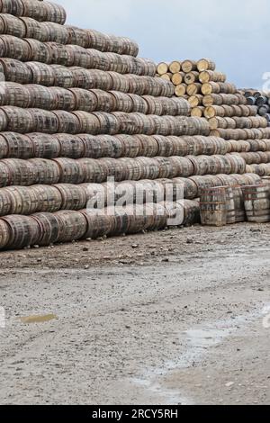 Stacks of Barrels Speyside Cooperage bei Craigellachie Moray Scotland, Juli 2023 Stockfoto