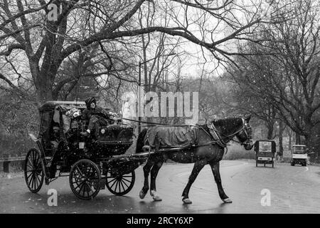 Pferdekutsche, die Touristen durch den Central Park bei einem Schneefall bringt Stockfoto