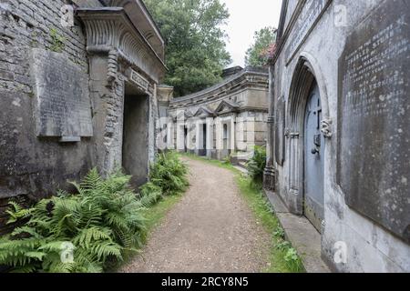 London, Vereinigtes Königreich - 16. Juli 2023: Circle of Lebanon at the Highgate Cemetery West in London, England. Stockfoto