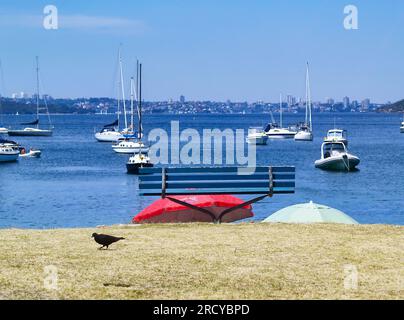 Der Blick vom Little Manly Beach über den Hafen von Sydney in Richtung Sydney, Australien. Stockfoto