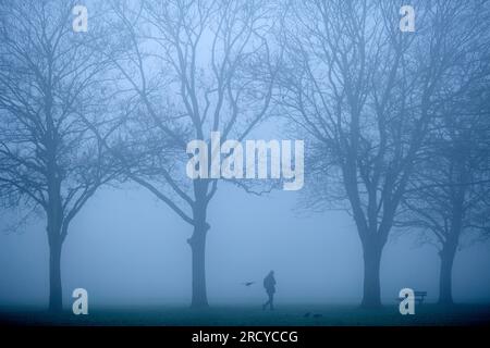 Ein dichter Nebel umhüllt einen Park in Ilford, East London, am Morgen. Stockfoto