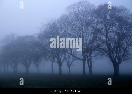 Ein dichter Nebel umhüllt einen Park in Ilford, East London, am Morgen. Stockfoto