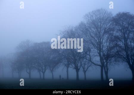 Ein dichter Nebel umhüllt einen Park in Ilford, East London, am Morgen. Stockfoto