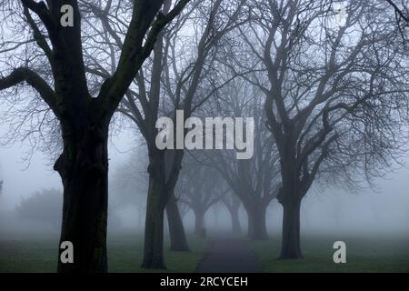 Ein dichter Nebel umhüllt einen Park in Ilford, East London, am Morgen. Stockfoto