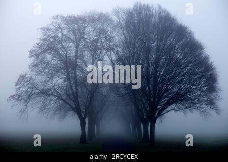 Ein dichter Nebel umhüllt einen Park in Ilford, East London, am Morgen. Stockfoto