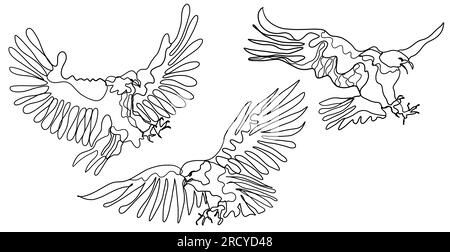 Set of Line Art Raptor Eagle Birds Drawing, Minimal One Line Illustration von Adler fliegt bereit zur Jagd Stockfoto