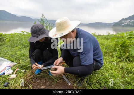 (230717) -- ZHONGXIAN, 17. Juli 2023 (Xinhua) -- Forscher des Institute of Mountain Hazards and Environment unter der Chinesischen Akademie der Wissenschaften (CAS) sammeln Bodenproben in einer Wasserspiegelschwankungszone des Three Gorges Reservoir in Zhongxian County, Chongqing im Südwesten Chinas, 6. Juli 2023. Die Region Three Gorges Reservoir, Heimat des weltweit größten Wasserkraftprojekts, erstreckt sich über etwa 10.000 Quadratkilometer entlang des Jangtse, Chinas längster Wasserstraße. Die jahreszeitlichen Lücken im Wasserstand des Reservoirs haben zu einer Wasserstandsschwankungszone geführt, die 349 Quadratkilometer A umfasst Stockfoto