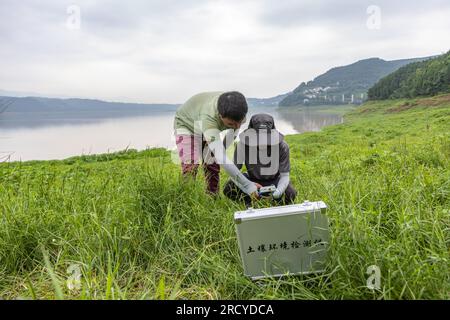 (230717) -- ZHONGXIAN, 17. Juli 2023 (Xinhua) -- Forscher des Institute of Mountain Hazards and Environment unter der Chinesischen Akademie der Wissenschaften (CAS) messen die Bodentemperatur und -Feuchtigkeit in einer Wasserstandsschwankungszone des Three Gorges Reservoir in Zhongxian County, Chongqing im Südwesten Chinas, 6. Juli 2023. Die Region Three Gorges Reservoir, Heimat des weltweit größten Wasserkraftprojekts, erstreckt sich über etwa 10.000 Quadratkilometer entlang des Jangtse, Chinas längster Wasserstraße. Die jahreszeitlichen Lücken im Wasserstand des Reservoirs haben zu einer Wasserstandsschwankungszone von 349 qm geführt Stockfoto