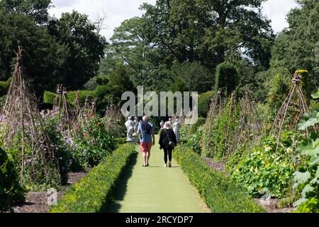 Taplow, Buckinghamshire, Großbritannien. 17. Juli 2023. Es war heute ein schöner sonniger Tag in Cliveden, während die Besucher die wunderschönen Gärten des National Trust genossen. Kredit: Maureen McLean/Alamy Live News Stockfoto