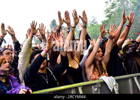 Napa, Kalifornien, USA. 28. Mai 2023. Besucher bei einer Aufführung des WU-TANG CLANS beim BottleRock 2023 Music Festival. Kredit: Ken Howard/Alamy Stockfoto