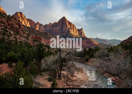 Watchman and Virgin River im Zion National Park, Utah, USA. Stockfoto