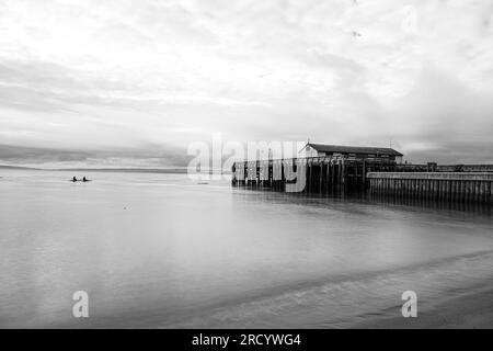 Marine Science Center Pier am Admiralty Inlet Beach Stockfoto