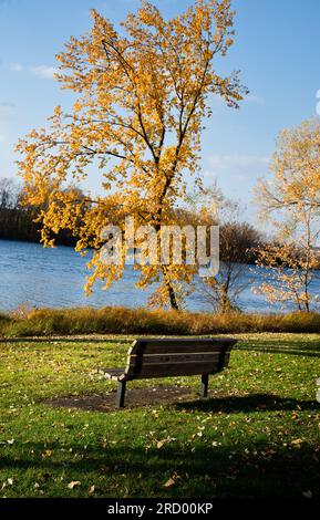 Leere Parkbank mit Blick auf einen Fluss im Herbst Stockfoto