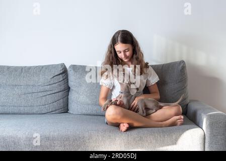 Ein Mädchen, das auf dem Sofa sitzt, mit ihrem verrückten Welpen-Hund. Liebe für Tiere. Komplizenschaft zwischen Besitzer und Hund Stockfoto