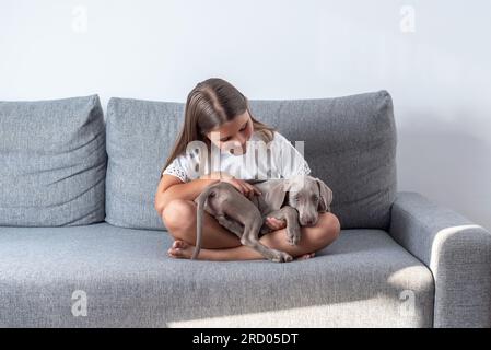 Ein Mädchen, das auf dem Sofa sitzt, mit ihrem verrückten Welpen-Hund. Liebe für Tiere. Welpe auf dem Schoß ihres Besitzers Stockfoto