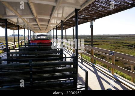 Touristischer Zug zum Strand Praia do Barril auf der Insel Tavira, Portugal Stockfoto