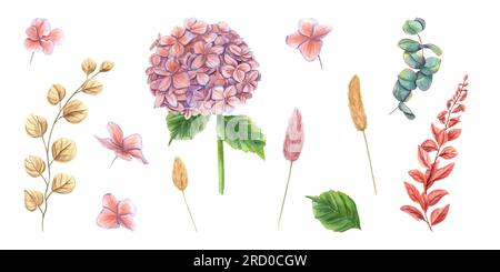 Set mit Hortensien, Eukalyptus, abstrakten Pflanzen, Lagurusspikelet. Perfekter heller Clipart in trendigen Herbstfarben. Aquarelldarstellung Stockfoto