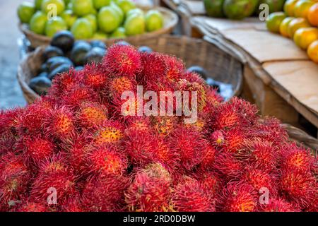 Ein Haufen reifer Rambutan (Nephelium lappaceum), Eine Frucht, die von Südostasien stammt, auf einem Stand im farbenfrohen Markt „Mercado mayoreo“ in der Nähe des Nationalstadiu Stockfoto