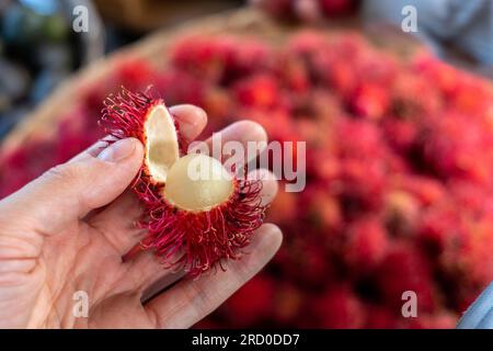 Nahaufnahme eines reifen Rambutan (Nephelium lappaceum), Einer Frucht, die von Südostasien stammt, in einer weißen Hand an einem Stand auf dem farbenfrohen Markt „Mercado mayoreo“ Stockfoto