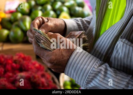 Old man Hands Count Lempiras (Geldscheine) von einem Haufen reifer Rambutan und Avocados an einem Stand im farbenfrohen Markt „Mercado mayoreo“ Stockfoto